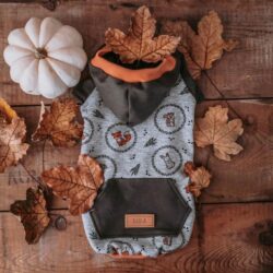 Fall Lovers Felpa