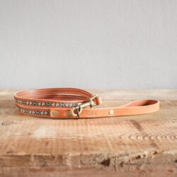 Guinzaglio Albuquerque