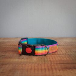 Rainbow Collar