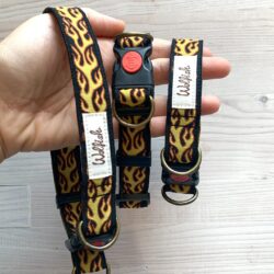 Collare Hot Bro fiamme