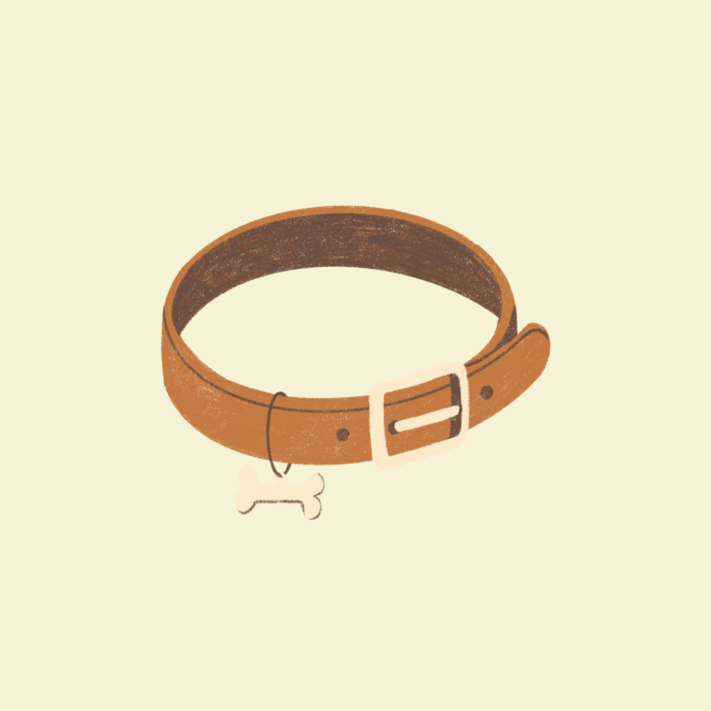 collari per cani fatti a mano in italia