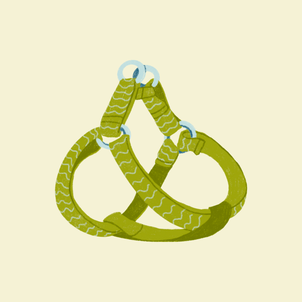 pettorine per cani realizzate artigianalmente in italia