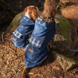 Impermeabili antipioggia vari colori