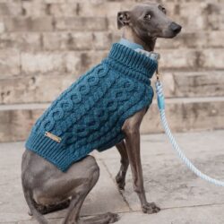 Pullover color petrolio