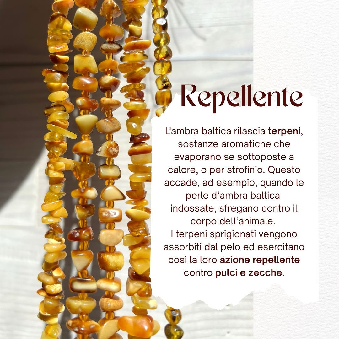 collana d'ambra antiparassitario