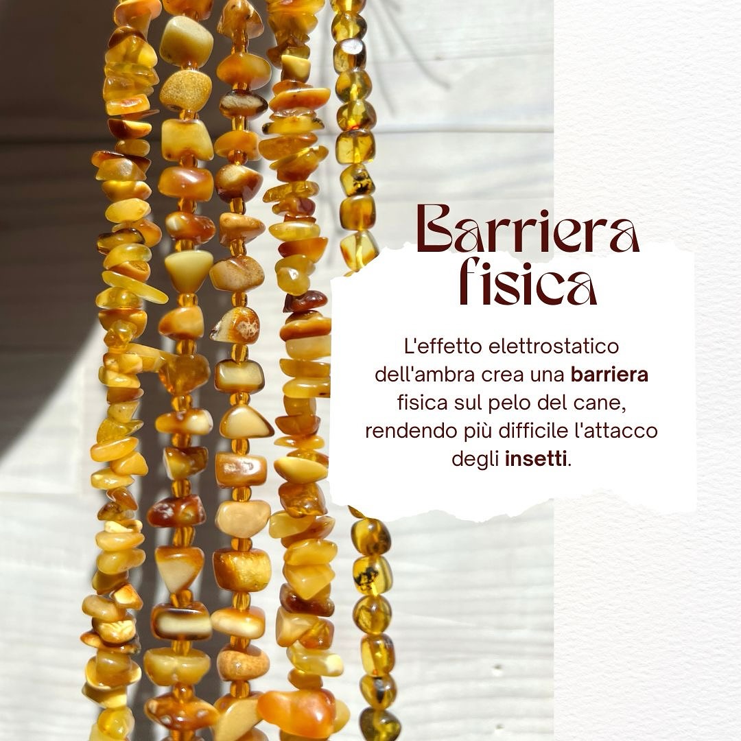 collana d'ambra repellente insetti