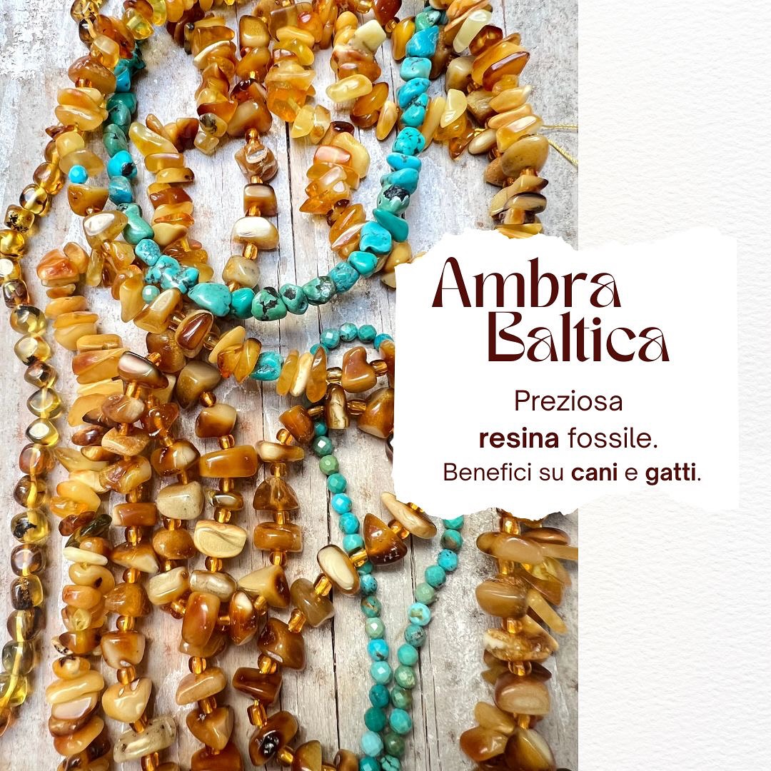 ambra baltica pietra naturale