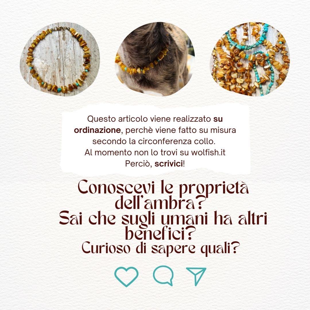 collana d'ambra per cani